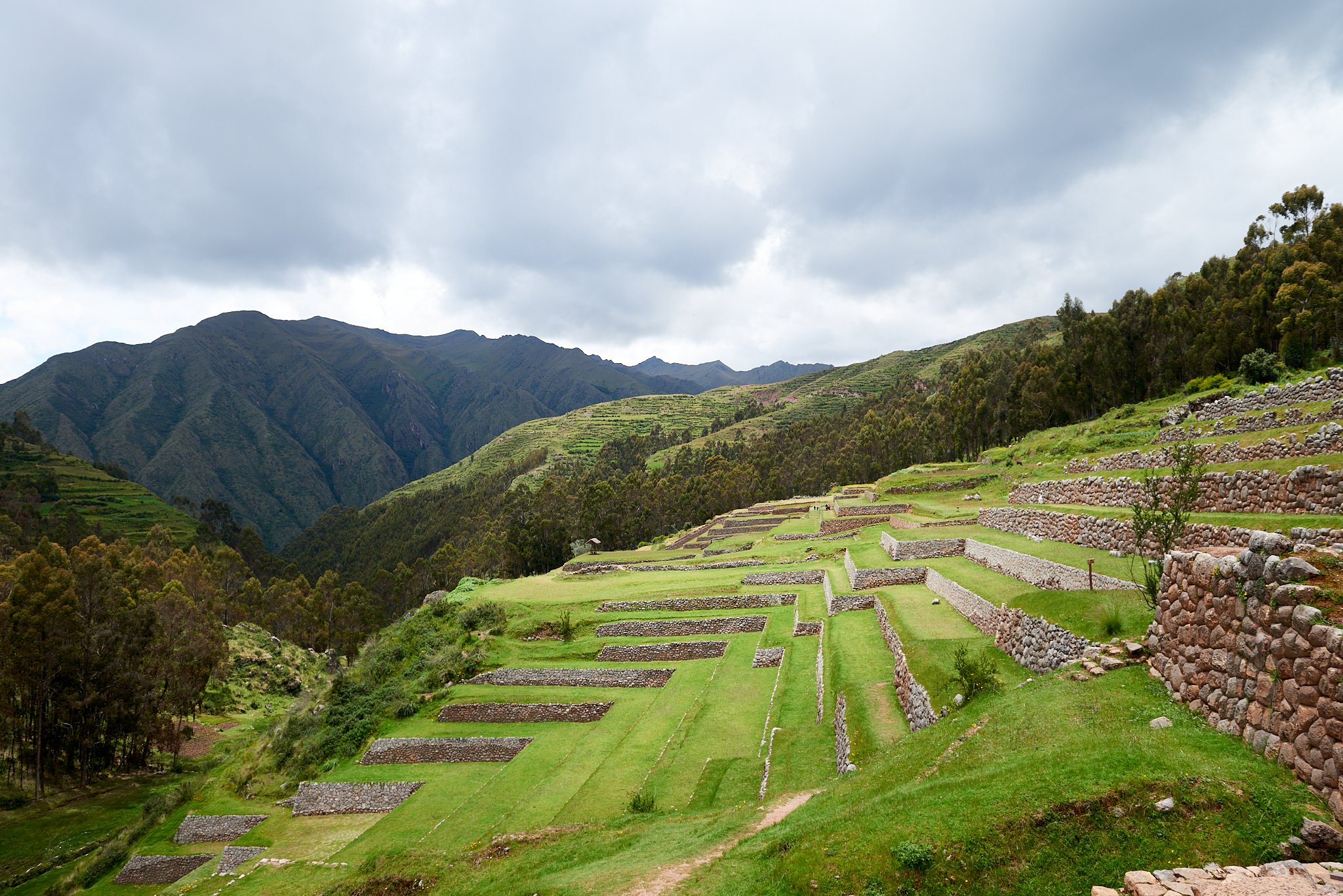 20200307 512 [페루] 신세로